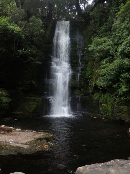 Catlins, South Island, New Zealand