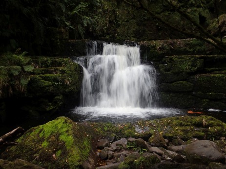 Catlins, South Island, New Zealand